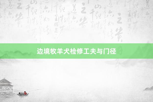 边境牧羊犬检修工夫与门径